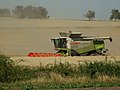 Čeština: Právě probíhající sklizeň nedaleko obce Hradečno v okrese Kladno nápověda English: Harvesting crops near Hradečno village in Kladno district, Central Bohemian region, CZ