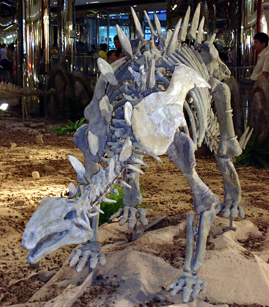 File:Huayangosaurus taibaii 20050707 07.jpg