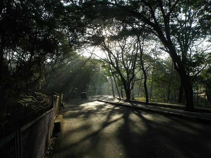 File:IITB main road in the morning.JPG