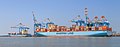 * Nomination Container ships "Murcia Mærsk" and "Vilnia Mærsk", Bremerhaven --Llez 05:05, 22 October 2022 (UTC) * Promotion  Support Good quality. --Velvet 07:14, 23 October 2022 (UTC)