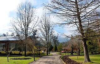 Quinamávida, Chile