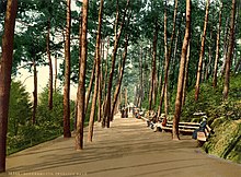 Photochrom of Invalids' Walk, 1890s