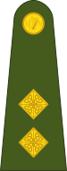 File:Ireland-Army-OF-1b.svg