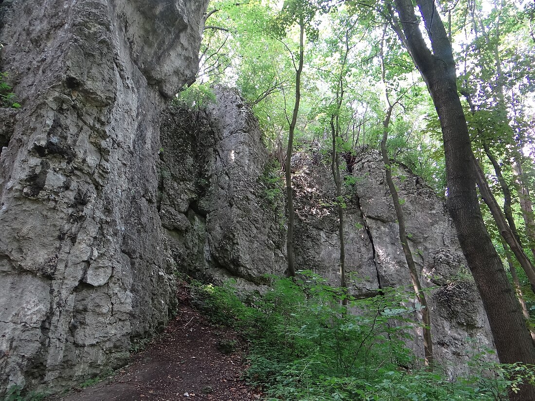 Dolinka za Piekarnią