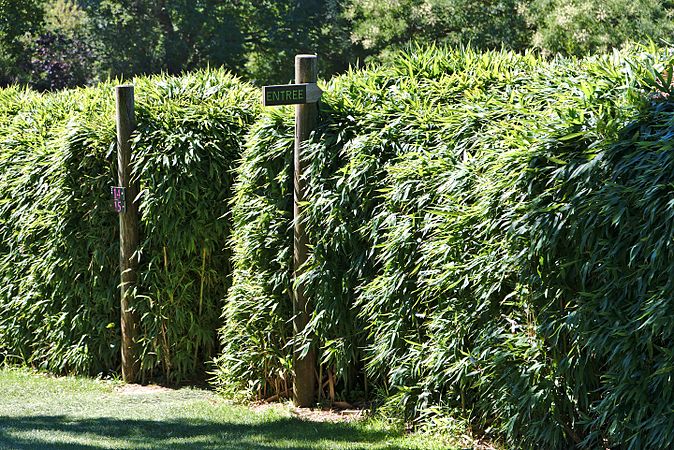 English: Botanical garden "Jardin des Martels". Français : Jardin botanique « Jardin des Martels ».