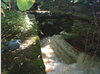 Water pours from a drainage pipe outflowing from the Jeddo Tunnel in a wooded area.