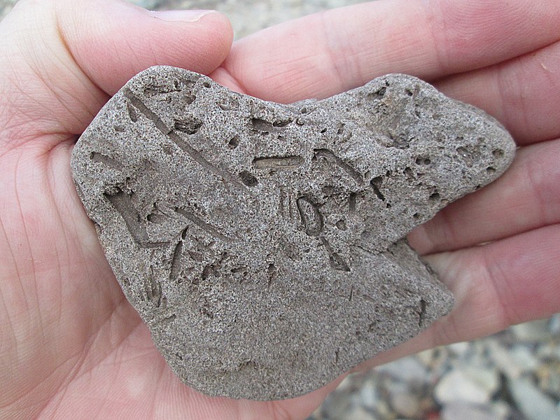 File:Joggins Fossil Cliffs, NS (15004845271).jpg