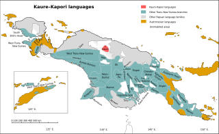 Kaure–Kosare languages