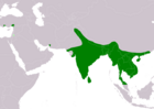 Aire de répartition du Kétoupa brun