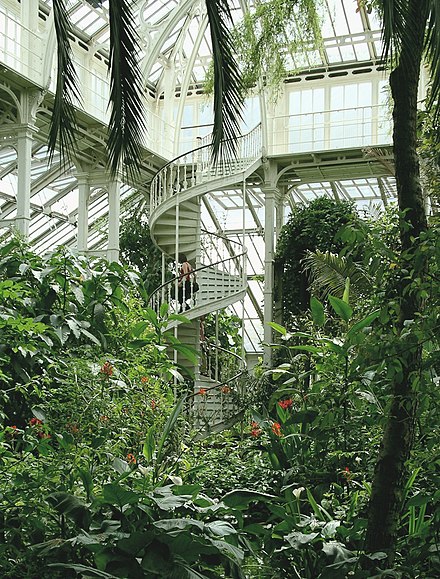 Inside the Palm House, Kew Gardens
