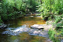 Kitchen Creek looking downstream in Ricketts Glen State Park, from the Evergreen Trail