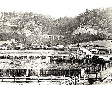 Knapsack Viaduct, Lapstone (2886372648)