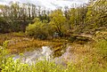 * Nomination Wetland biotope with reedbeds and marshy areas in the “Kalkberg“ nature reserve (Lüneburg) --F. Riedelio 06:17, 9 May 2024 (UTC) * Promotion  Support Good quality. --Scotch Mist 08:21, 9 May 2024 (UTC)