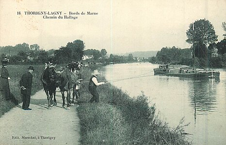 L2428 - Lagny-sur-Marne - Bords de Marne.jpg