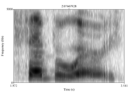 Spectrogram 3