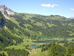 Lauenensee-2008-06-21-a.jpg