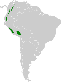 Distribución geográfica del tijeral andino.