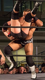 Backbreaker Professional wrestling move where an opponents back is forced upon a body part