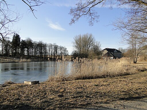 Lichtenberg (Feldberger Seenlandschaft) Teich am Gutshaus 2011-03-07 316