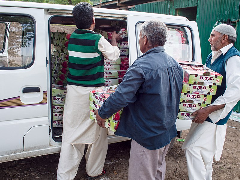 File:Loading Strawberries (14548117444).jpg