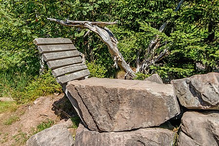 Seat Lothar Path Black Forest National Park Germany