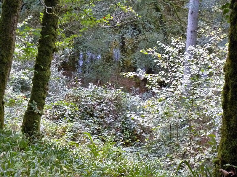 File:Lydford Gorge (23) - geograph.org.uk - 5939686.jpg