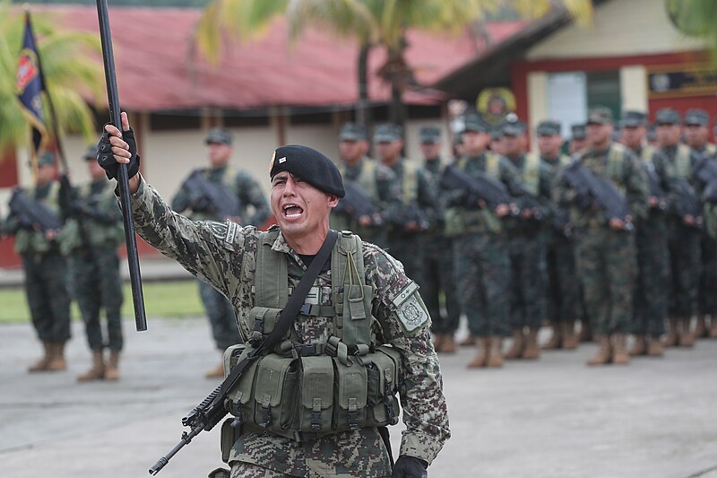 File:MINISTRO DE DEFENSA VISITÓ BASES MILITARES Y ALBERGUE DE NIÑOS EN EL VRAEM - 49255510622.jpg