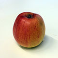 Maglemer (apple).jpg