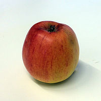 Maglemer (apple) .jpg