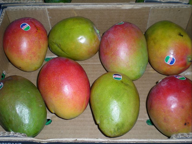 File:Mango8.JPG