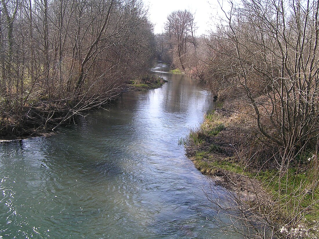 Vallée de l'Antenne