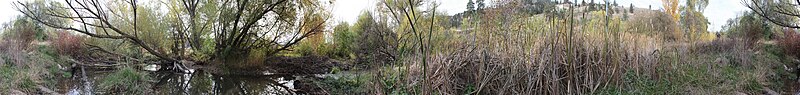 File:Mill Creek Linear Park Panorama003.jpg