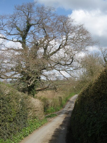 File:Minor road junction, near Lillisford Farm - geograph.org.uk - 1236808.jpg