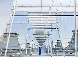 <span class="mw-page-title-main">Miraah</span> Solar thermal energy plant in Oman