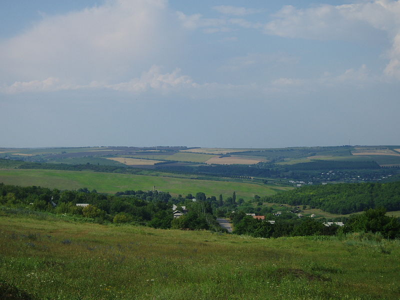 File:Moldovan landscape (188812300).jpg