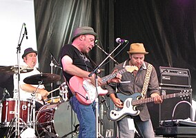 Monkeyjunk at 2010 Kitchener Bluesfest 1.jpg