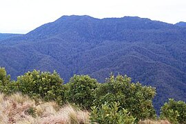 Mount Royal - از کوه Cabrebald.jpg