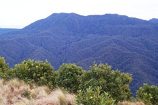 Mount Royal from Mount Cabrebald from Barrington Tops National Park