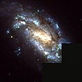 NGC 1559 Hubble WikiSky.jpg