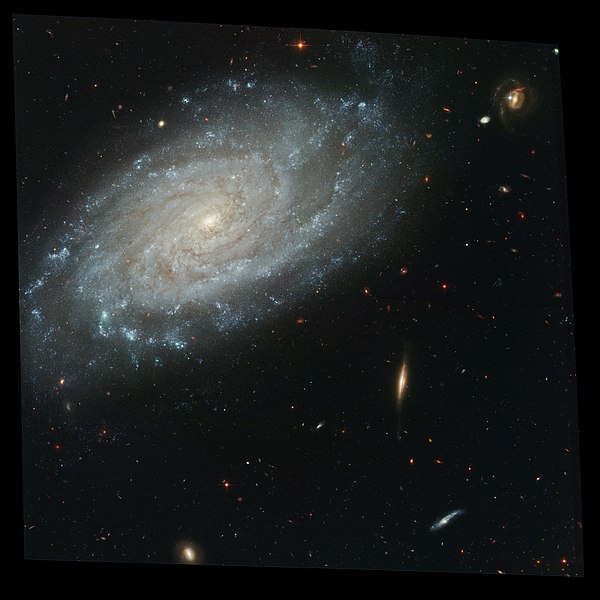 Delwedd:NGC 3370 Hi.jpg
