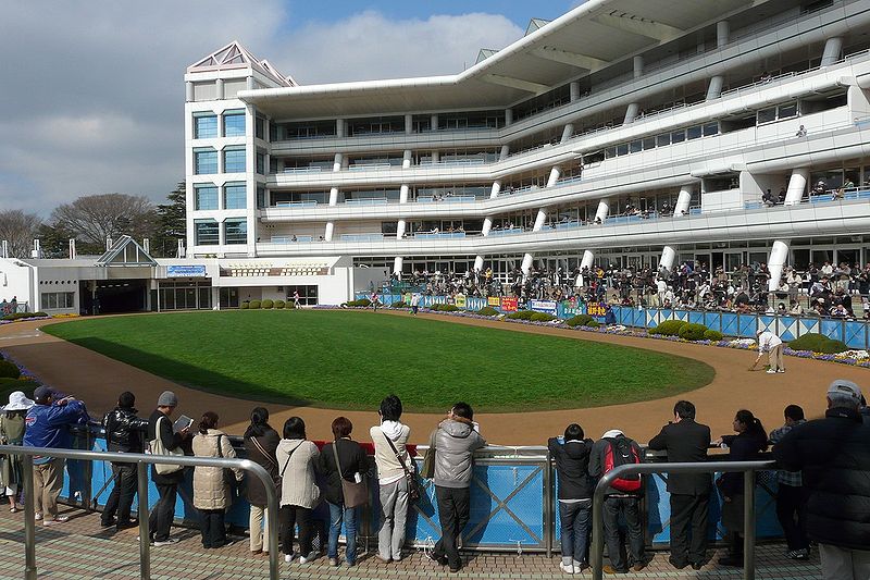 File:Nakayama-Racecourse04.jpg