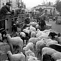 Piazza Cavour (1960s)