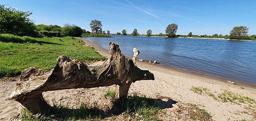 Natural art ar rivier Maas near Empel in Noord-Brabant, The Netherlands