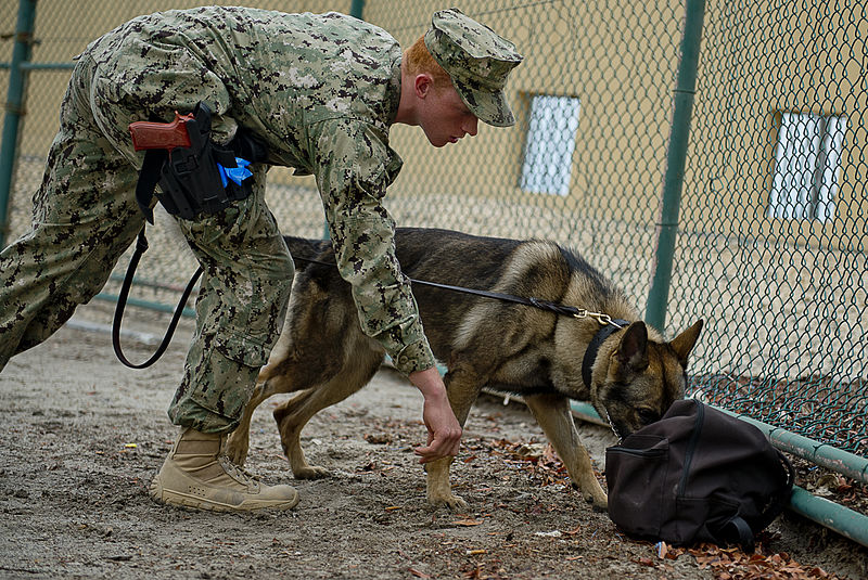 File:Naval Support Activity integrated training exercise 130501-N-GG400-020.jpg