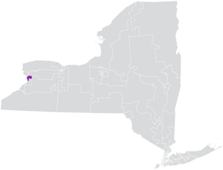 New Yorks 63rd State Senate district American legislative district