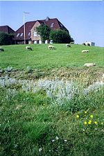 Biosphärenreservat Schleswig-Holsteinisches Wattenmeer