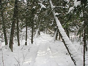 NorthCountryTrailWI.JPG