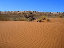 The red and white dunes of the Kalahari desert Northern Cape Red and White Dunes.jpeg