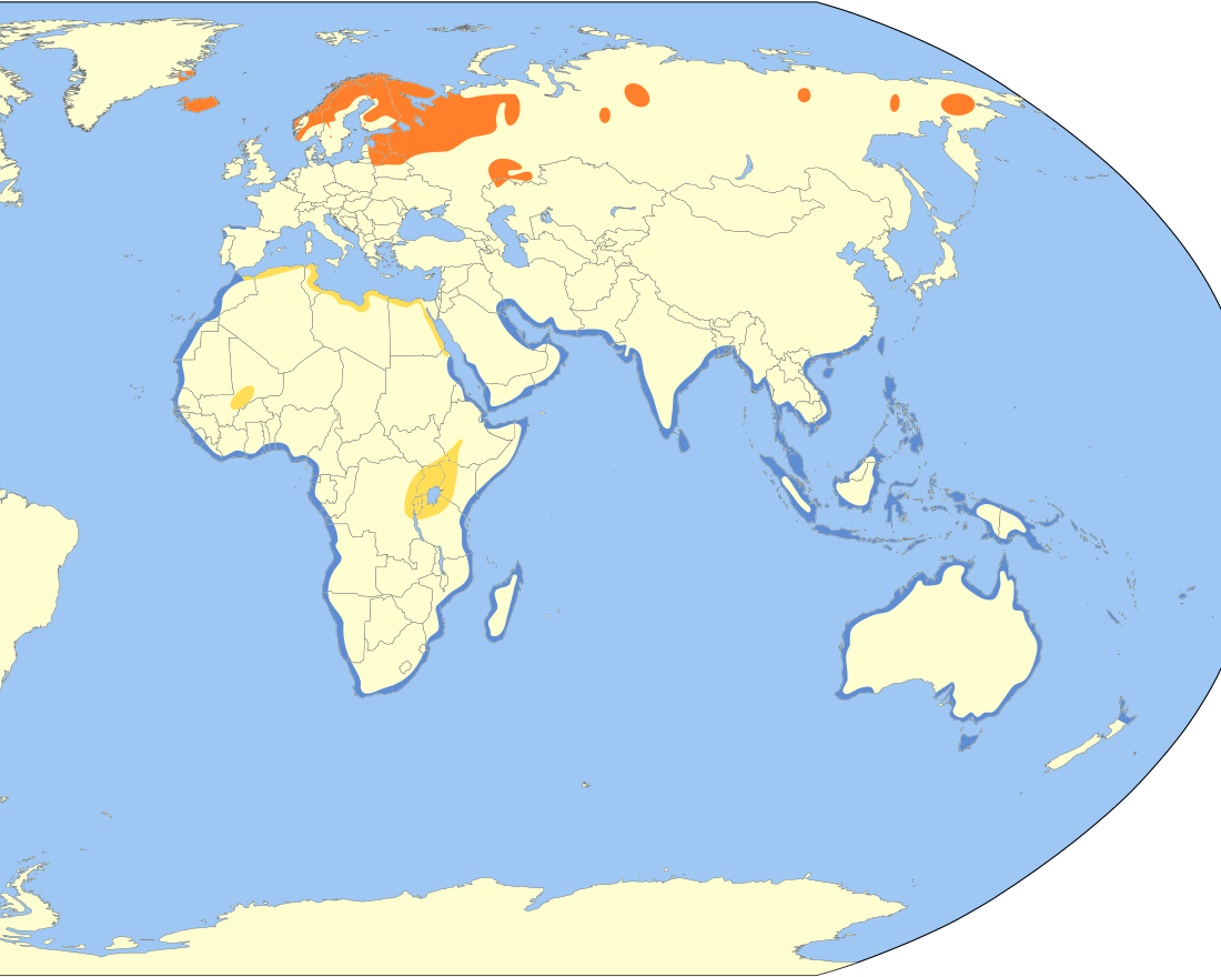 File:Numenius phaeopus distribution map.svg