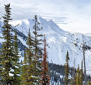 <span class="mw-page-title-main">Nyack Mountain</span> Mountain in Montana, United States